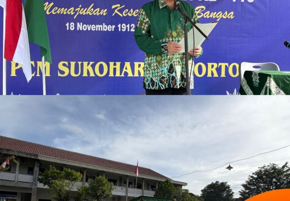 WhatsApp Image 2025-11-18 at 10.47.41